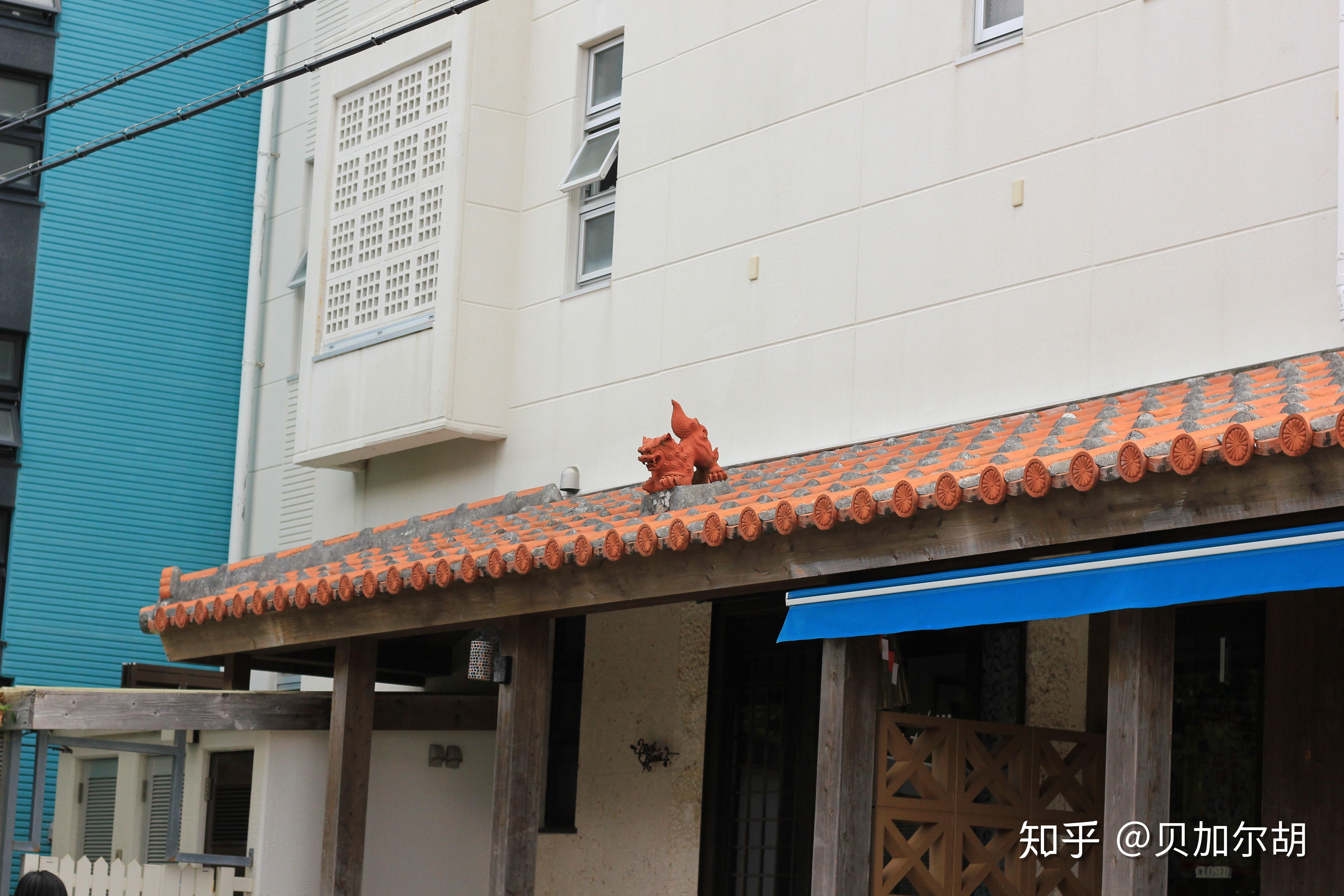 冲绳游Day5：渡嘉敷島（とかしき/Tokashiki）一日游（20161229） 知乎