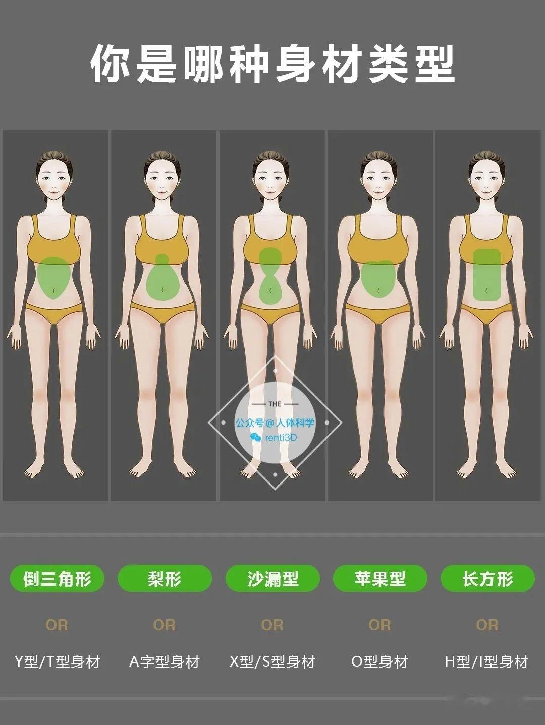 每个人的身材都不一样,但是大致都在这5种基本形状之内 ,每一种身材都