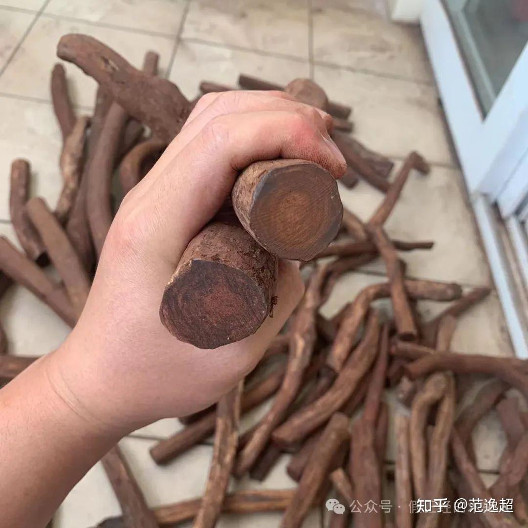 海南黄花梨一海南黄花梨认知3部位树根
