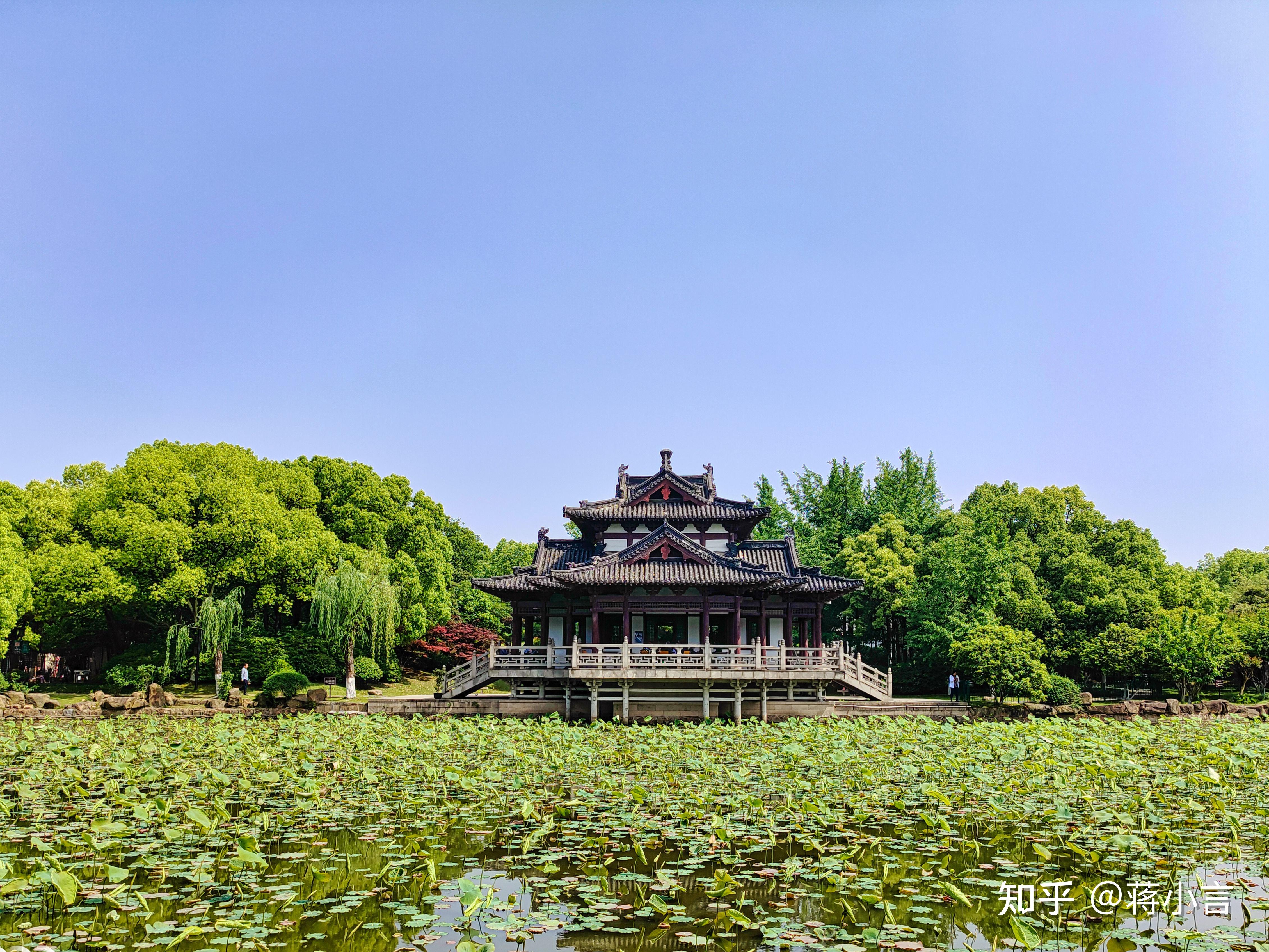 魅族18带你游历千年古塔百年银杏之湖州飞英公园