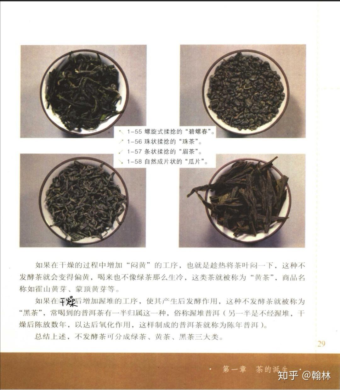 从发酵度不同看茶叶分类