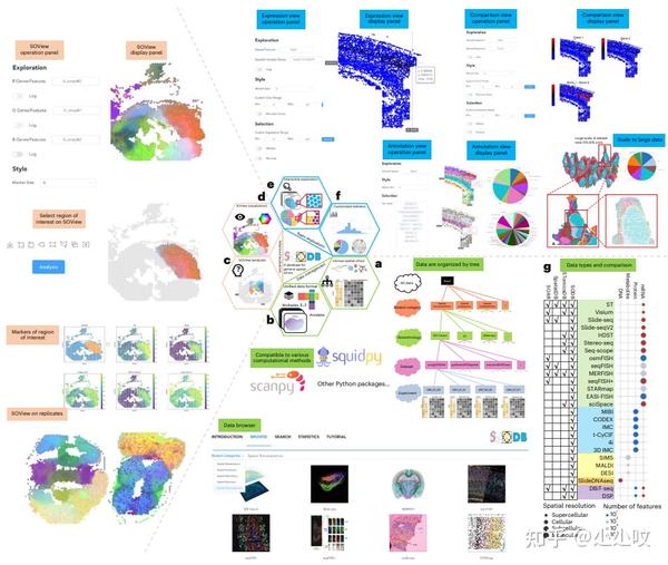 Nature Methods 空间组学数据库推荐：sodb 知乎 1422