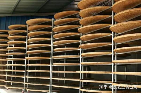 白茶自然萎凋遵循自然规律更显茶之本味