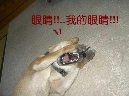 长得好看家境普通的普通人可以成为明星吗?