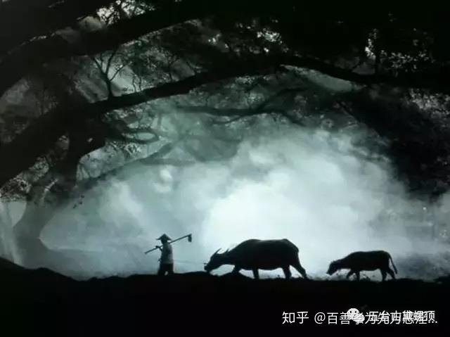 虛雲老和尚曾無意之中進入定境,結果長達十八天.