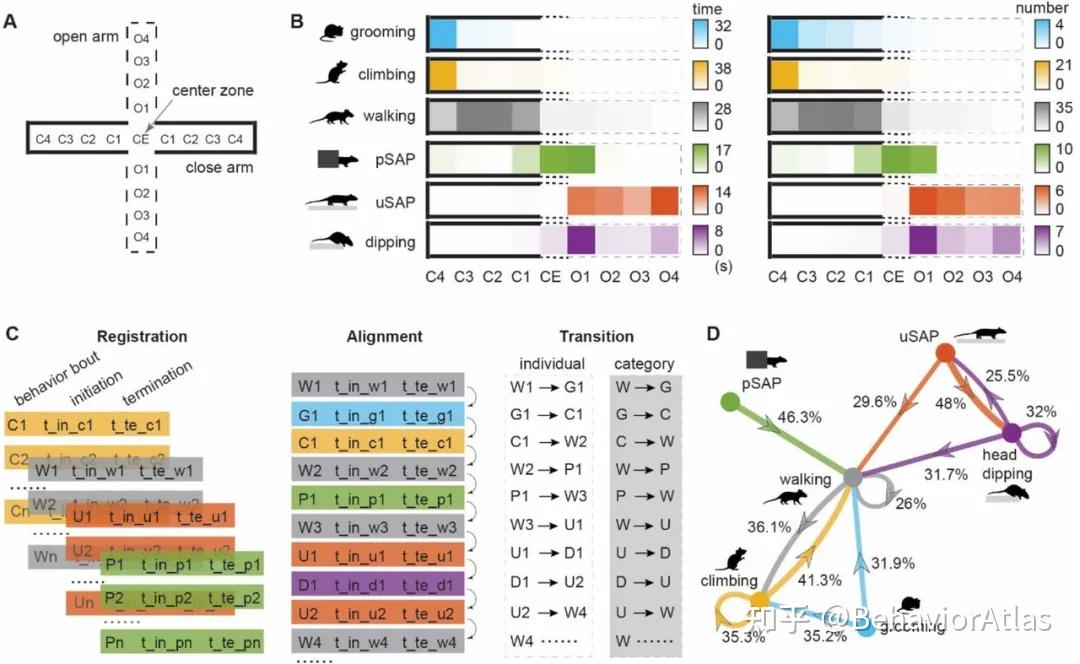 BioRxiv | AI 行为分析 + 光遗传学验证：腹侧海马体神经元亚群精准调控不同焦虑行为 - 知乎