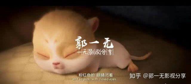 猫与桃花源毯子当爸爸啦儿子斗篷颜值爆表
