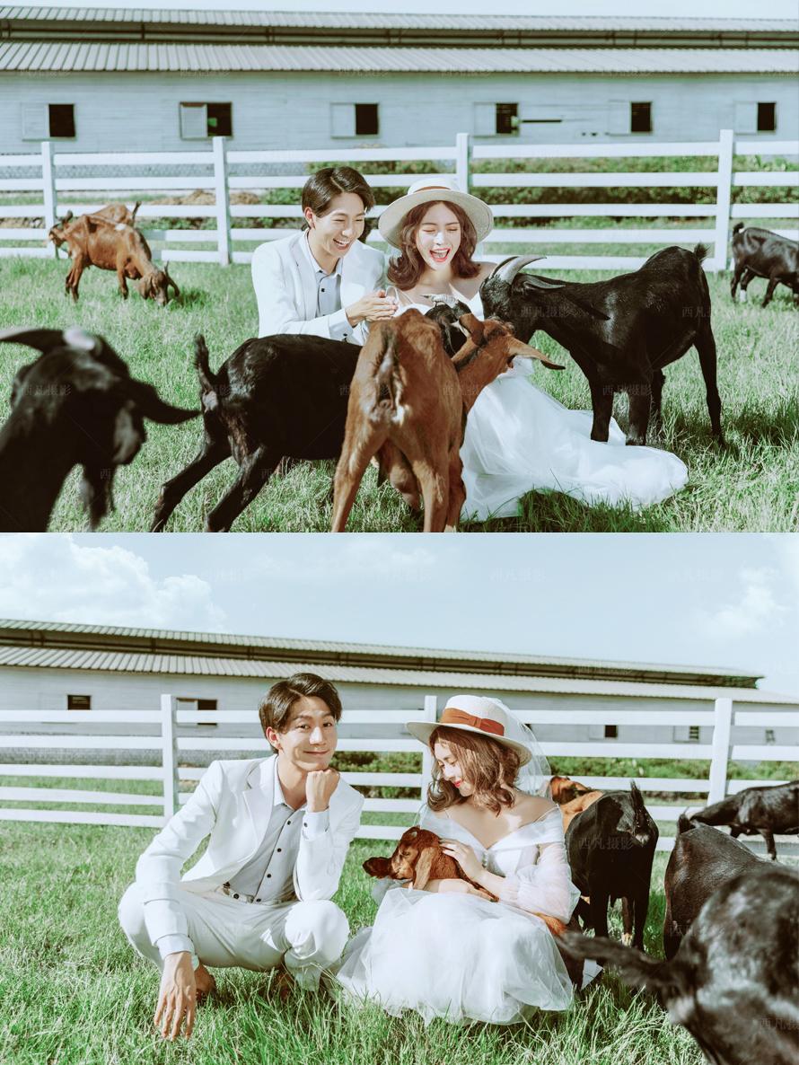 同学结婚不想去怎么拒绝怎么拒绝不想去的婚礼- 知乎