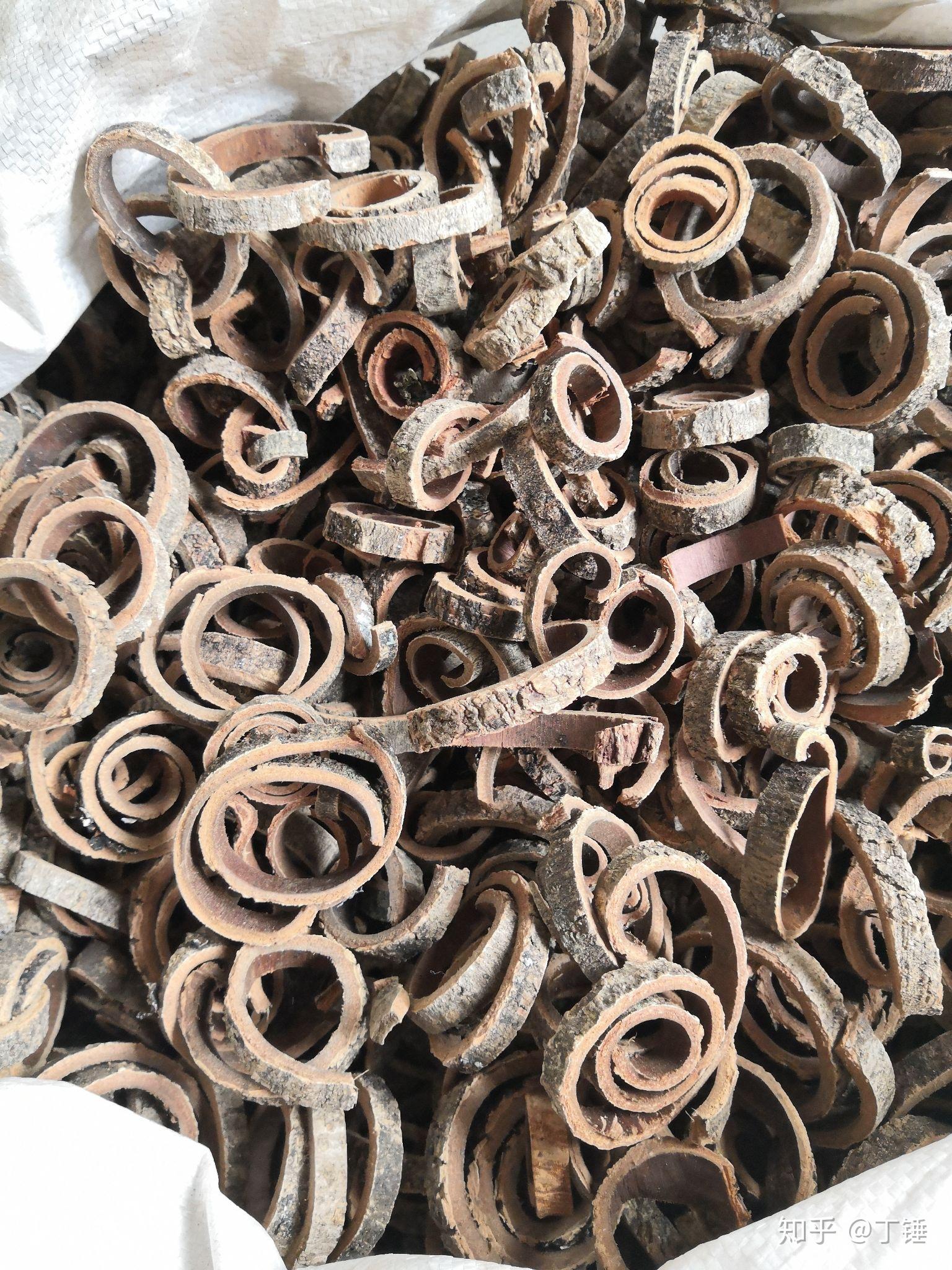 厚朴值得一尝吗