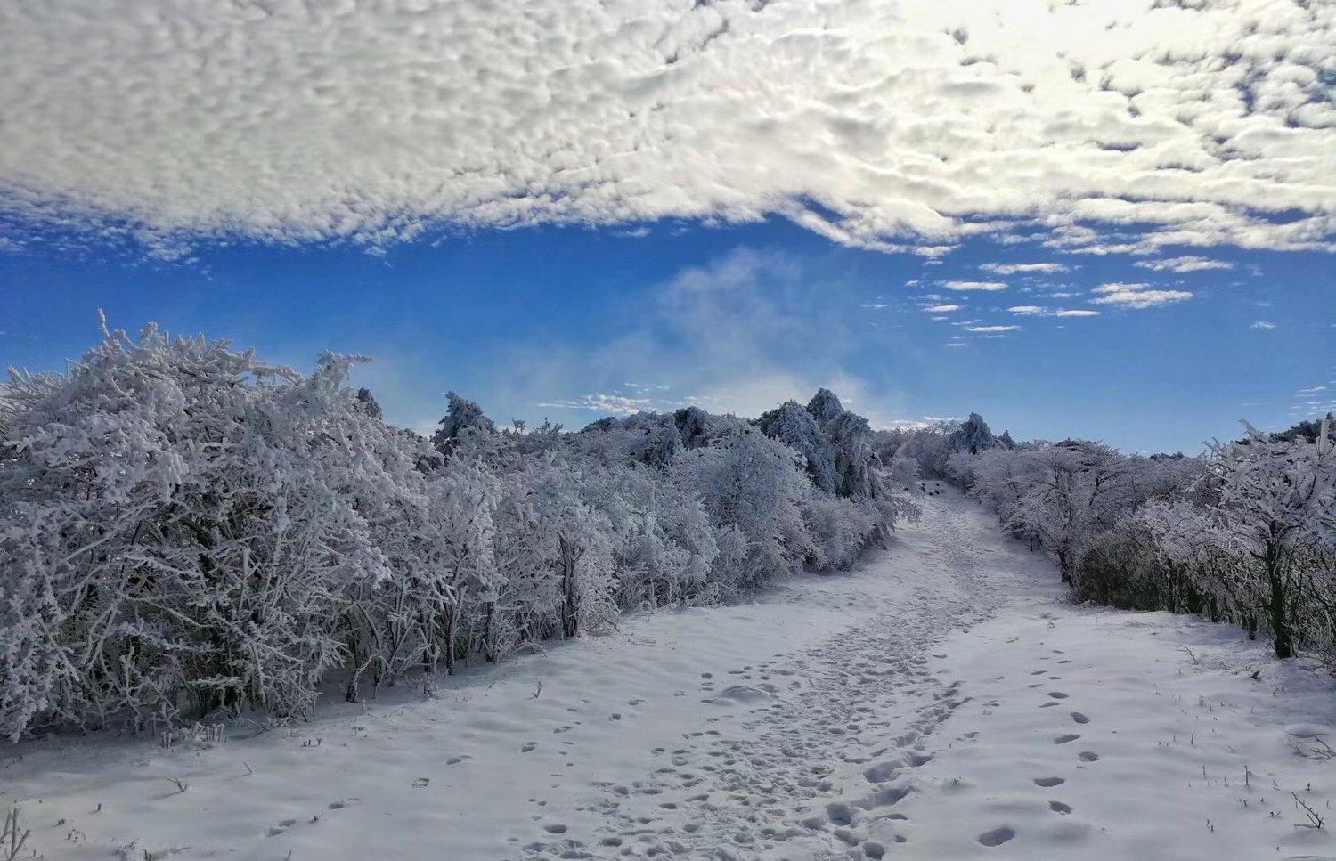 山脊穿越到東天目山山腳,期間要經過七座大的山峰,分別是:仙人頂1506