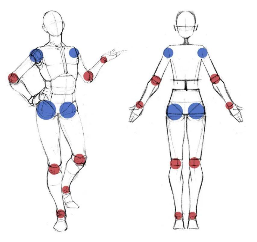 零基础小白如何学习绘画人体?