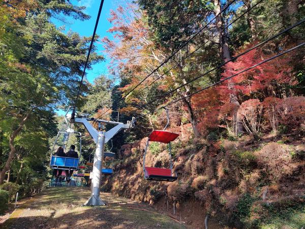 高尾山 红叶 知乎