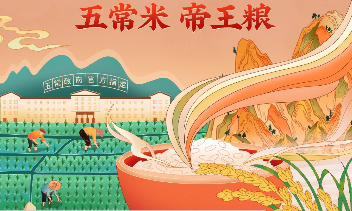 东北五常大米好吃,五常大米价格是多少?如何辨别五常大米 - 知乎
