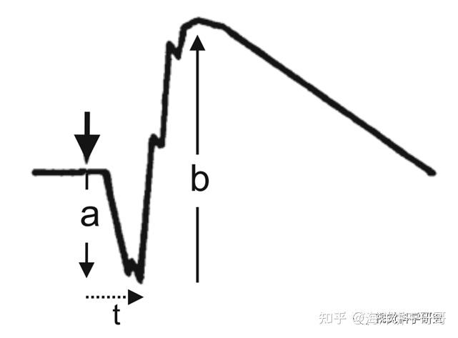大鼠/小鼠视网膜电图(ERG)记录那些事儿 - 知乎