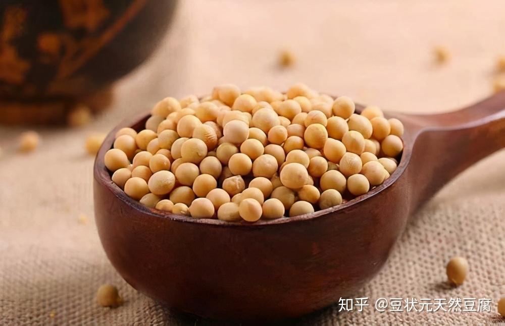 豆一分析讨论社区