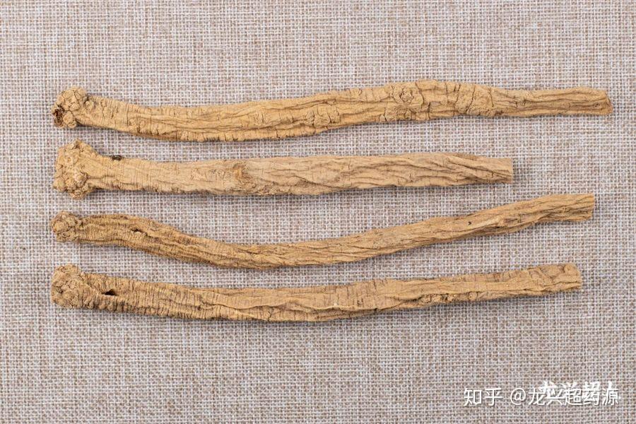 道地药材图鉴之党参 - 知乎