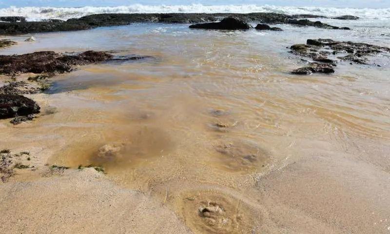 naturecommunications地下水对海岸带生态具有重要影响