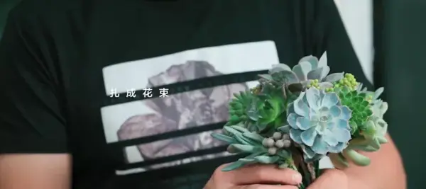 花chacha 花艺课第二期 如何用多肉做新娘手捧花 知乎
