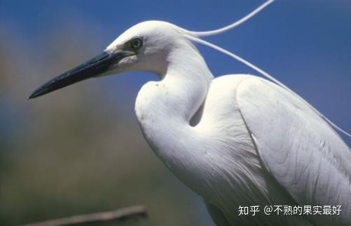 大黄鶴　中黄鶴 蘇州毛筆　5本 2023年黄鹤楼雪之景5号香烟价格表（多少钱一包） - 择烟网