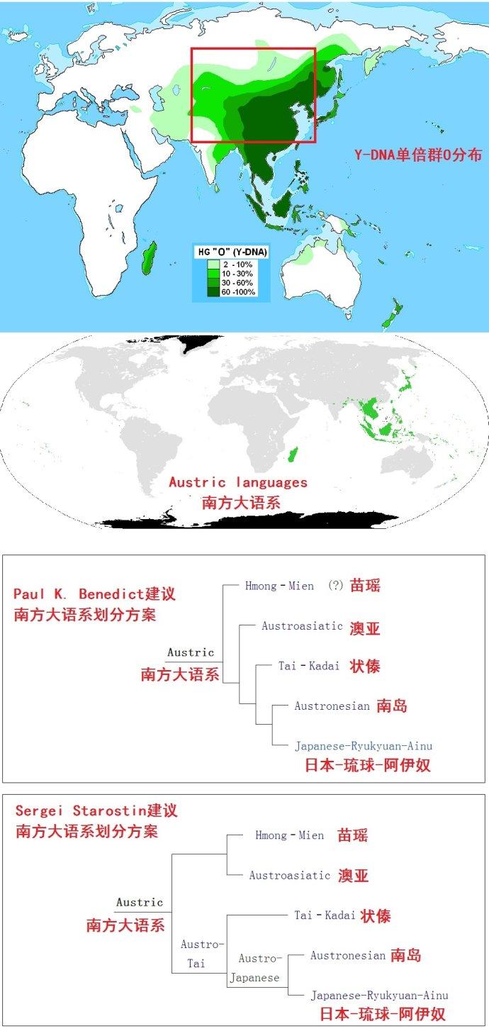 其中:苗瑤語系 對應 o2a2a1a2-m7藏緬語系 對應 o2a2b1-m134澳亞