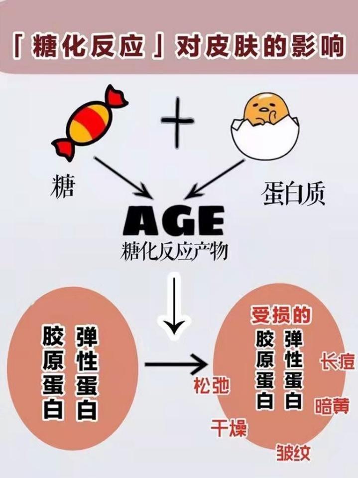 如葡萄糖,乳糖,蔗糖等与蛋白质发生化合反应产生糖化终产物的过程