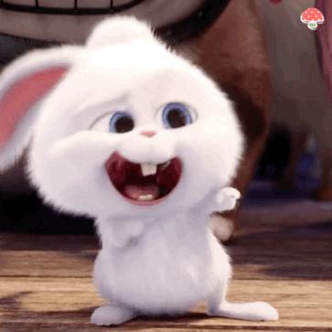 最热表情包 爱宠大机密小兔子