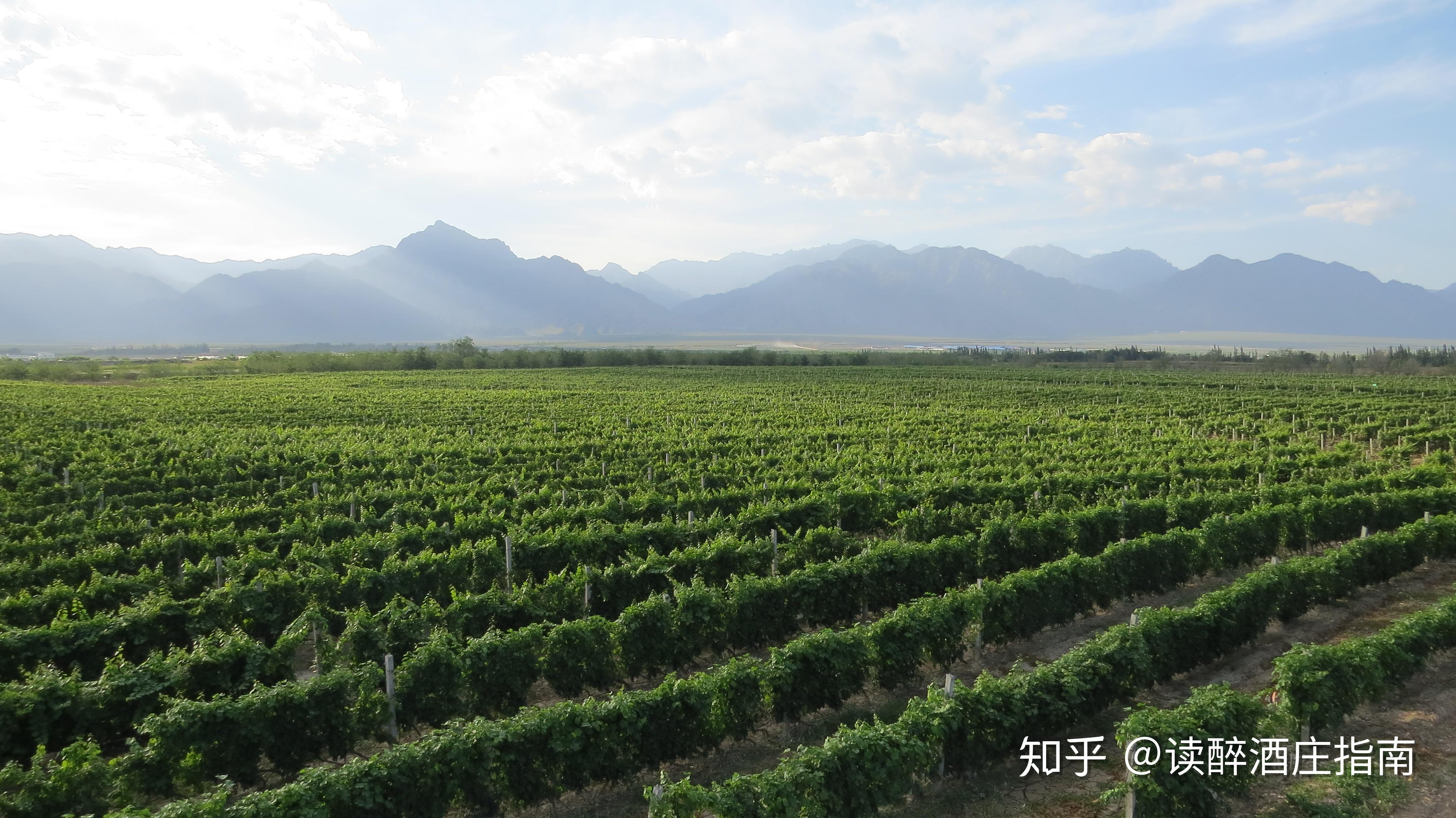 第十四届g100国际葡萄酒及烈酒评选赛
