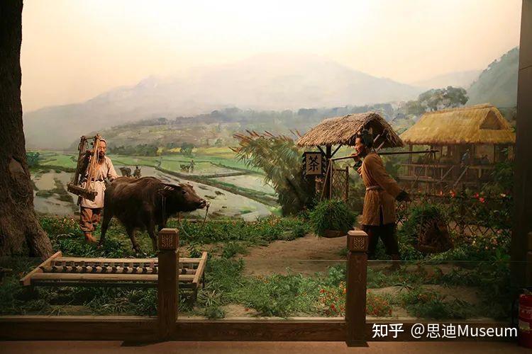 该陈列主要内容包括贯穿古今万余年的中国农业历史,展示古代农业的"
