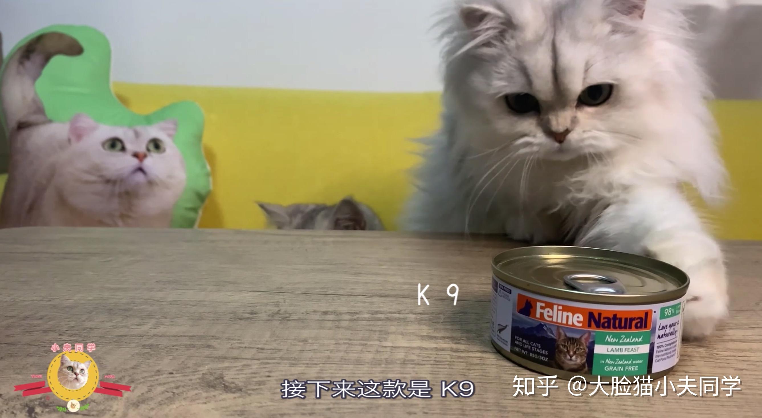 主食猫罐头怎么选试吃对比大连载之一巅峰k9百利篇