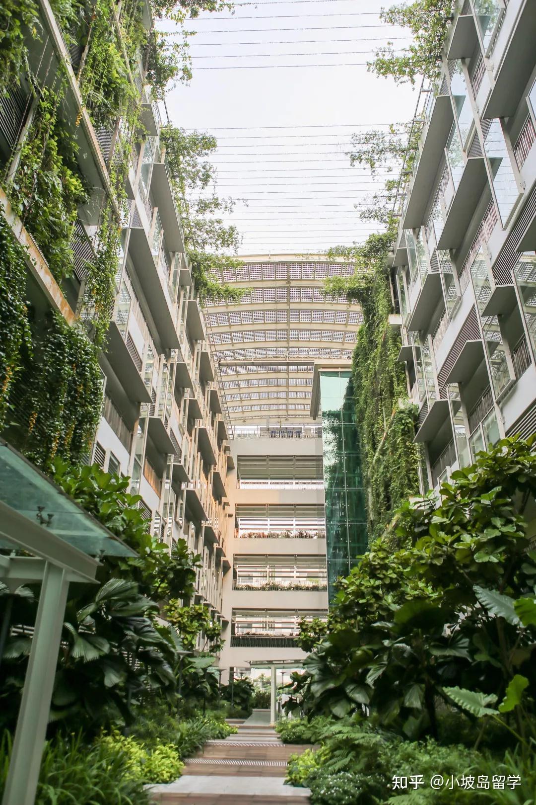 新加坡留学丨南洋理工大学多元化风光你没见过的美