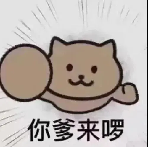 113张最沙雕最搞笑的表情包