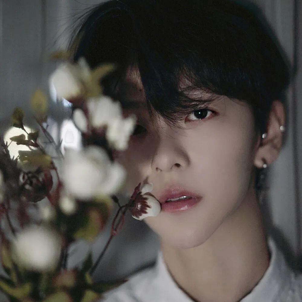 分享壁纸 分享头像 分享生活78freyayan9