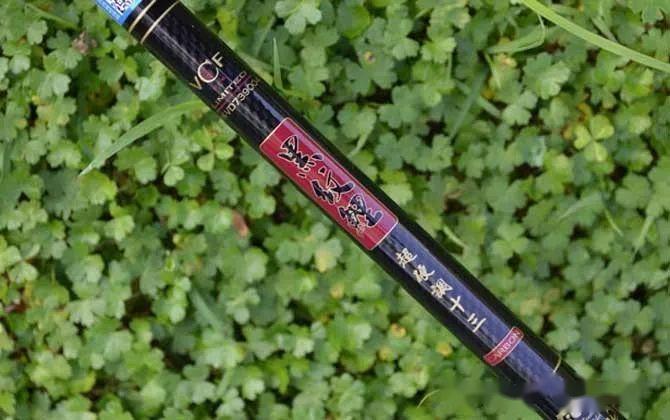 一,黑纹鲤迪佳品牌的黑纹鲤是一款经典的鲤鱼竿,其5.