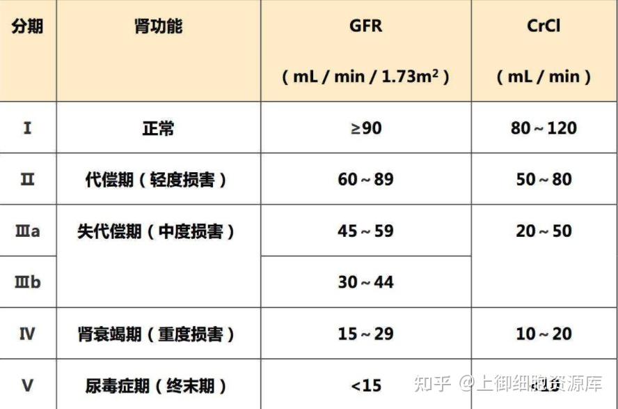 肾功能不全分期图片