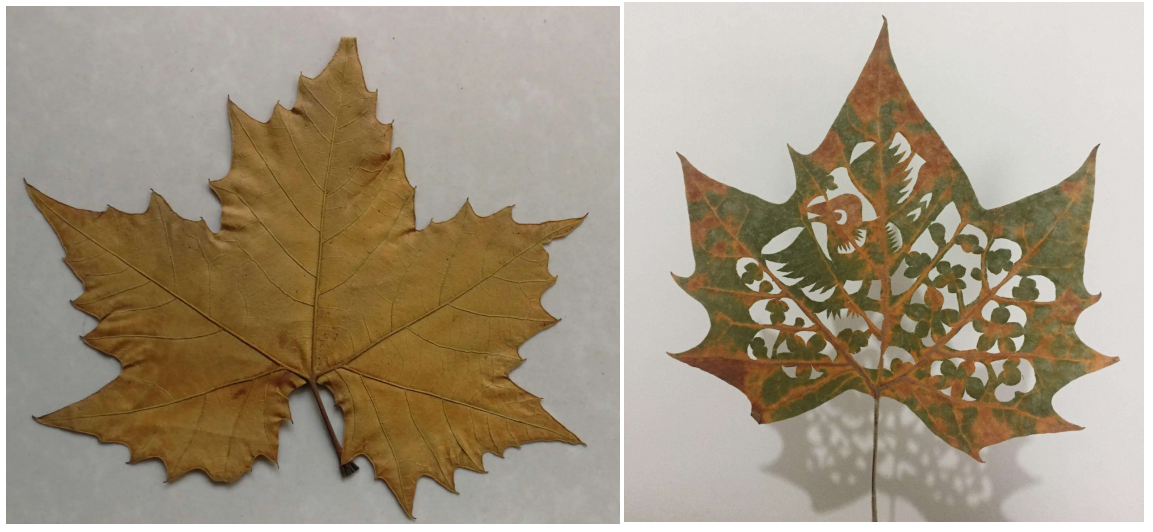 3000多年前就已经有剪纸了 - 知乎