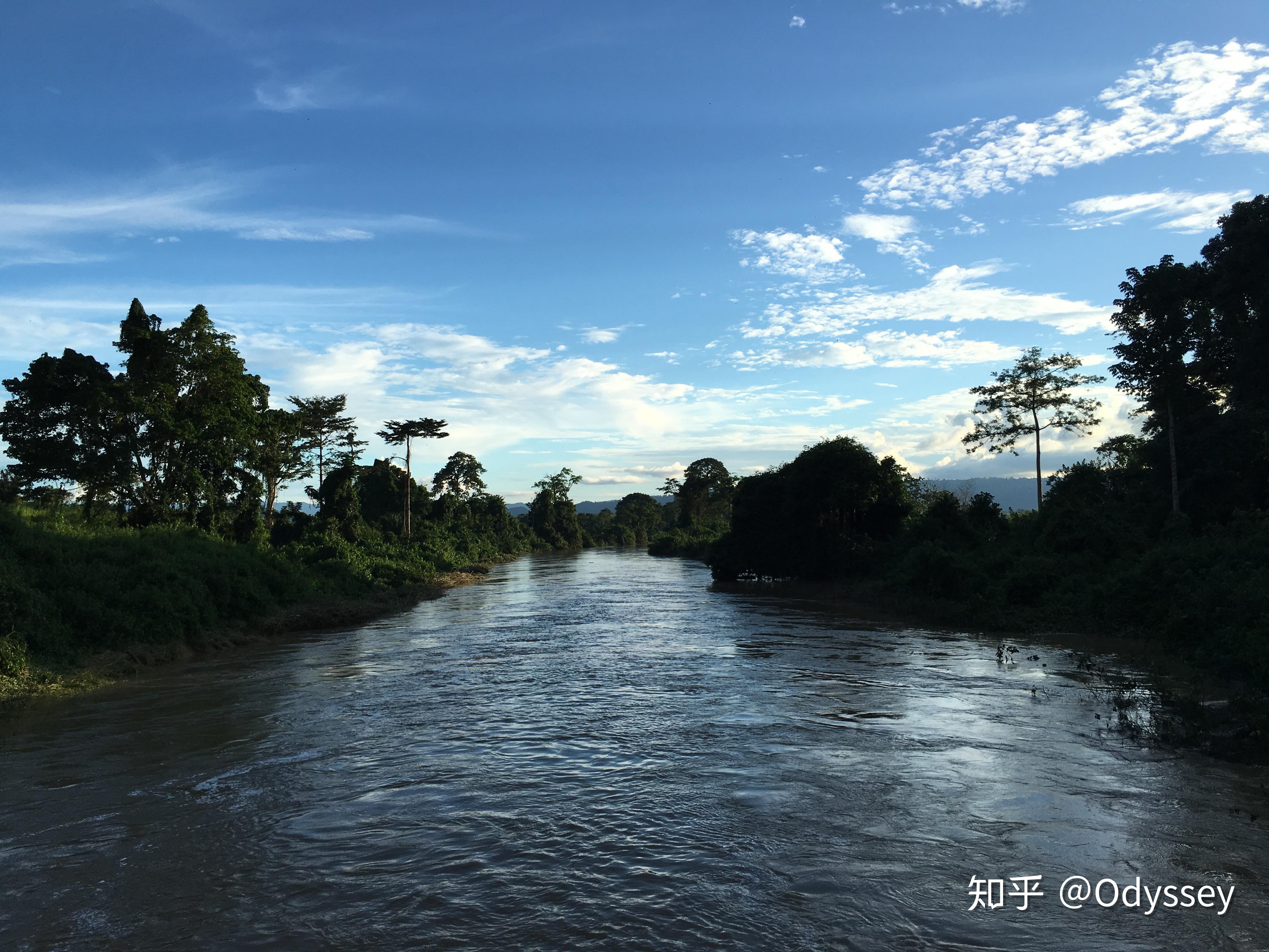 雨林,草原,风雨——西非加蓬的风景