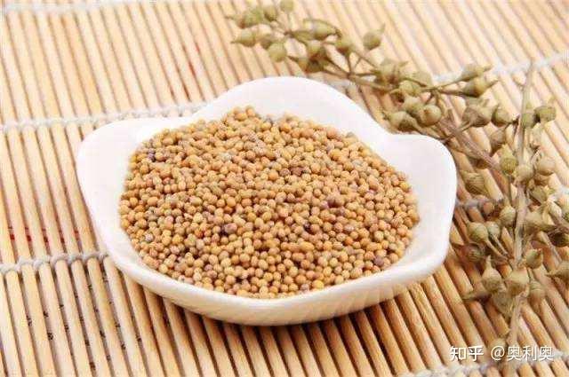 走进中药——化痰止咳平喘药