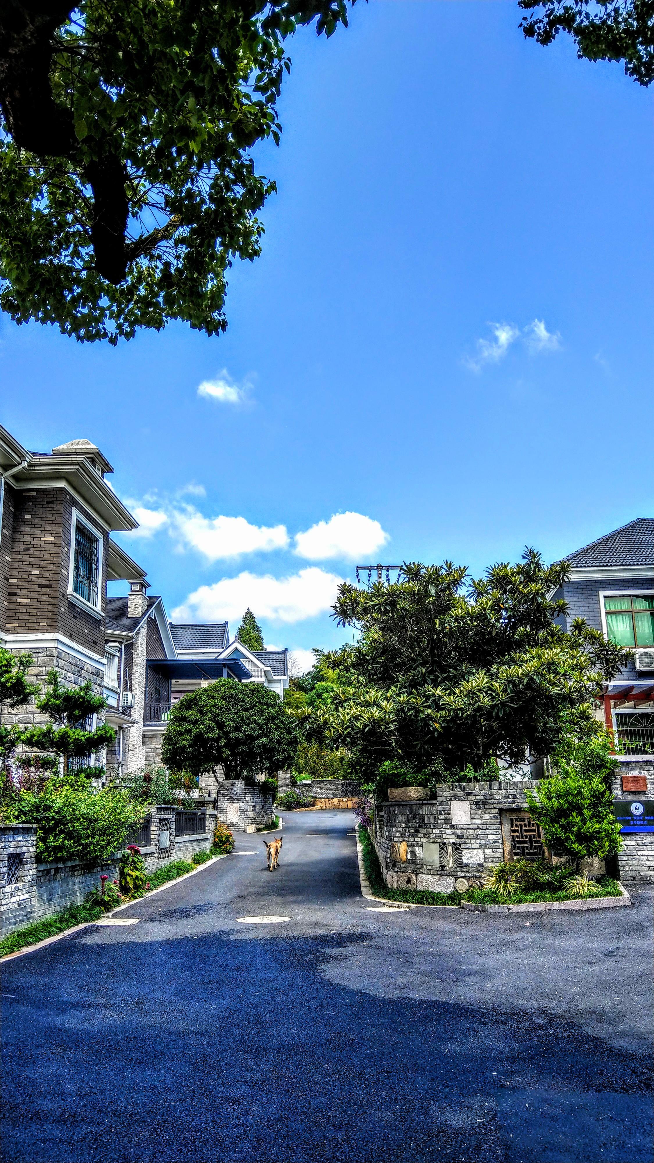 从浙江农村的美看一个地方主政者的治理能力