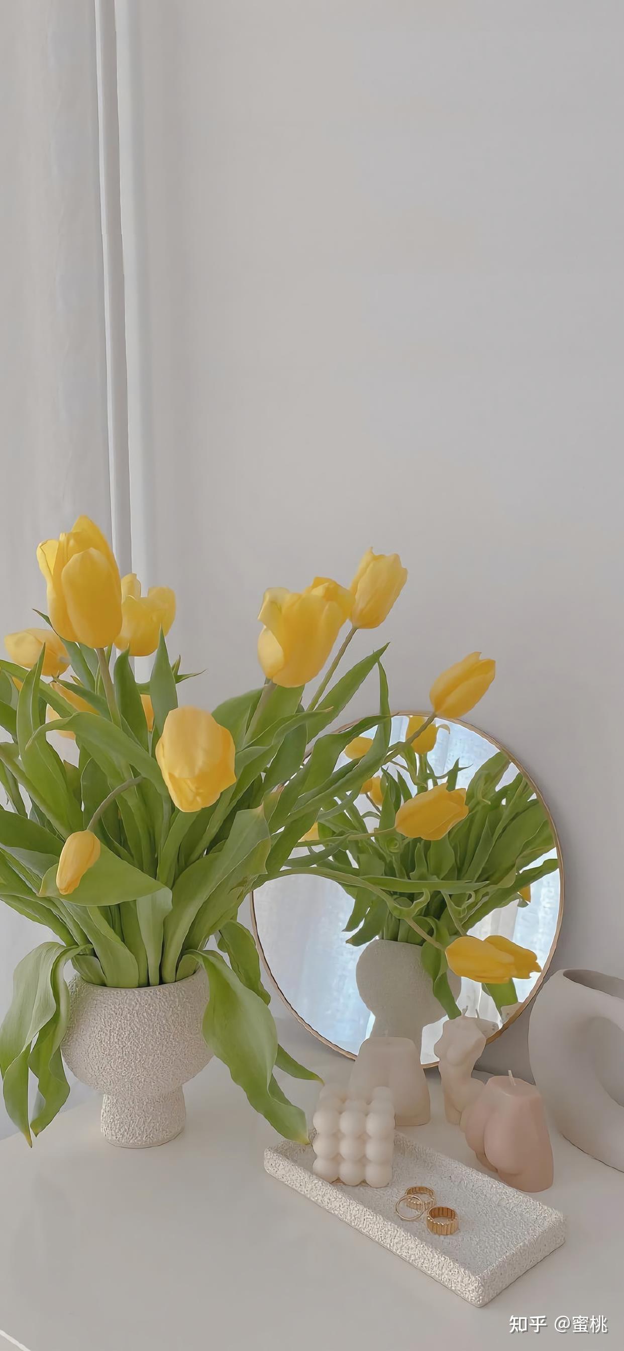 有关于玫瑰花的背景图吗? - 知乎