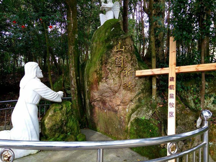 在教堂通往后山的林中道旁有一尊耶稣山园祈祷雕塑,基督的神形显得