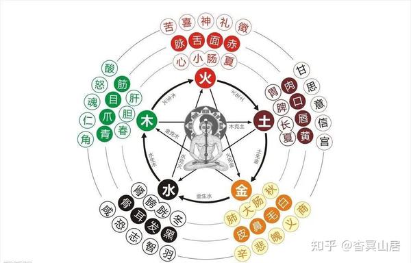 《黄帝内经·素问》中的藏象学大成思想 - 知乎