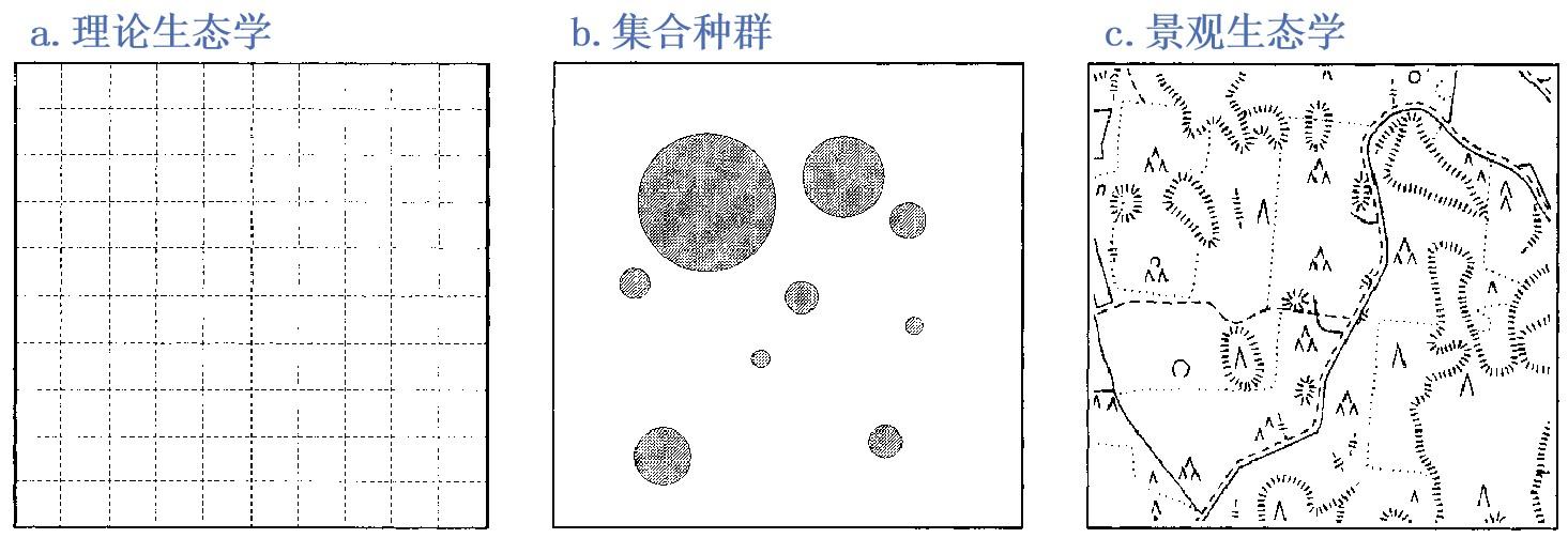 [100条生态学笔记] 15/100 集合种群动态 - 知乎
