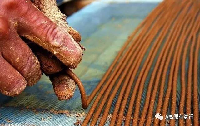 "53岁的扎西桑珠技艺娴熟,说话时也没闲下来,左手握住牛角,右手大拇指