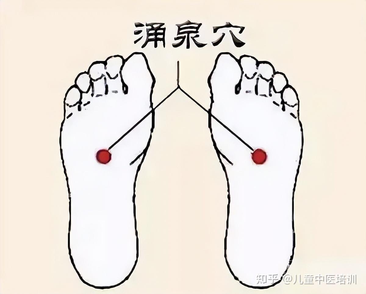 亲子中医育儿：涌泉穴的精妙实用 - 知乎
