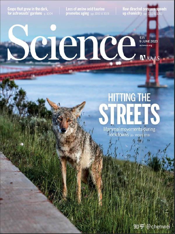 《科学周刊Science》杂志-电子版PDF订阅下载 - 知乎