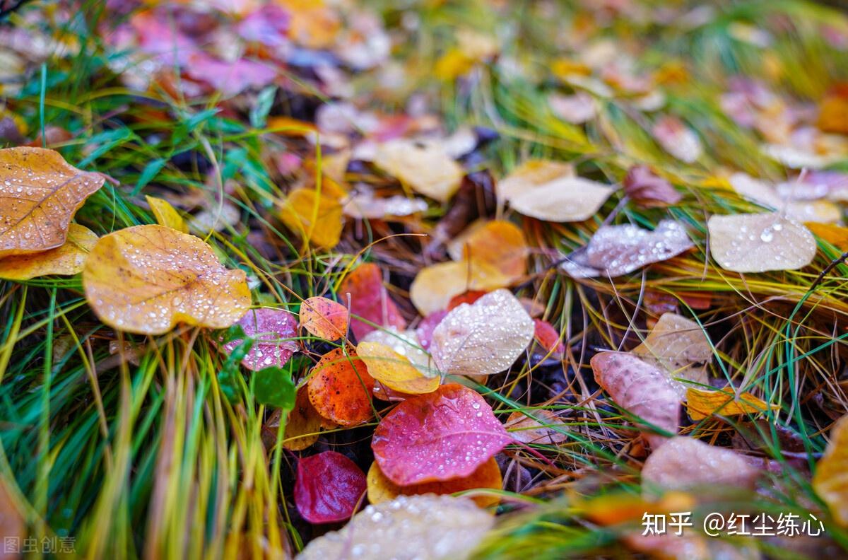 下雨的早晨‍,打工人的痛苦! - 知乎