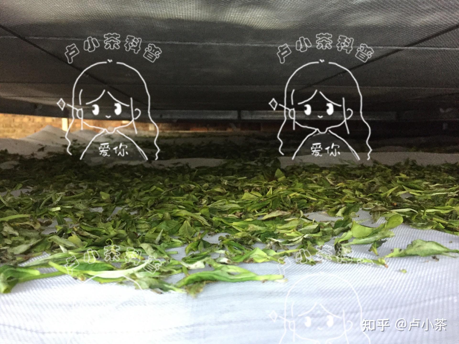 请教茶叶行业添加香料、色素及其他添加剂的现状？ - 知乎