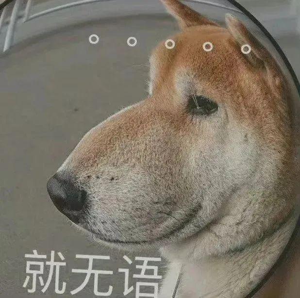 120张万能的表情包推荐-万能表情图片大全