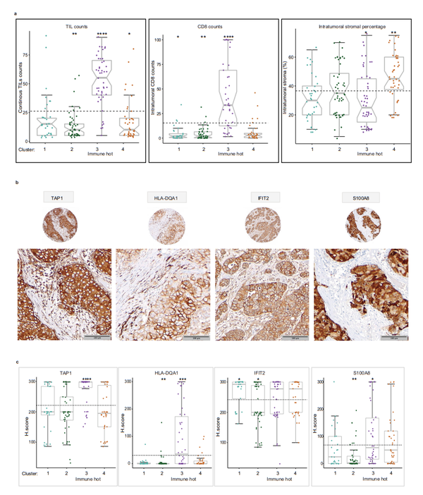 文献解读 | 蛋白质组学分析确定乳腺癌潜在生物标志物和治疗靶点 - 知乎