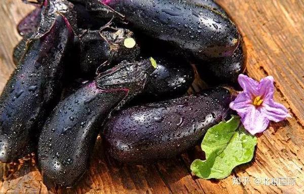 这些年你对紫色食物的误解 知乎